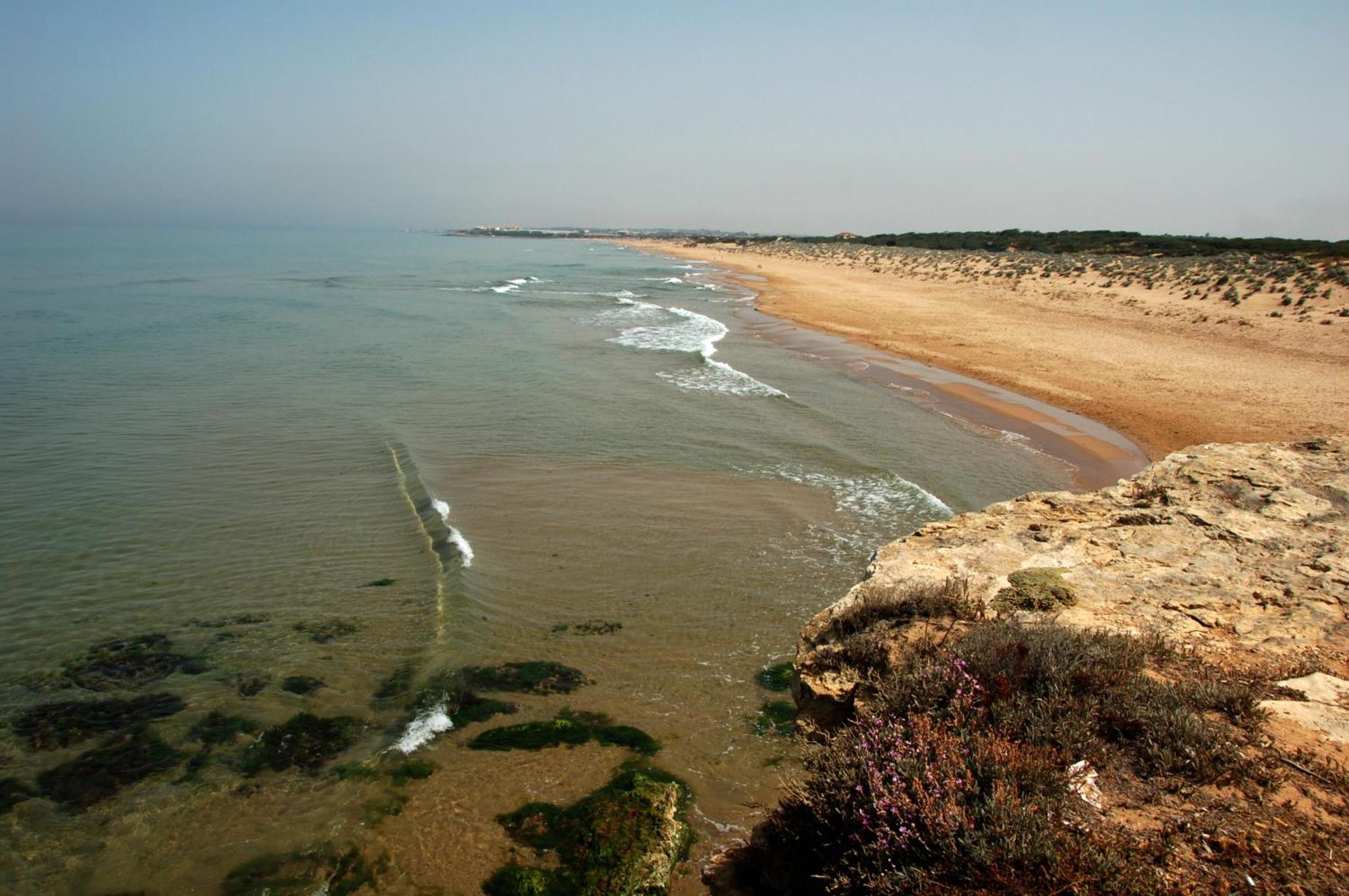 Parco Della Rocca Ξενοδοχείο Punta Braccetto Εξωτερικό φωτογραφία